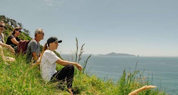 Quatre voyageurs sont assis dans l'herbe haute sur une falaise côtière, profitant d'une vue panoramique sur l'océan par une journée ensoleillée.