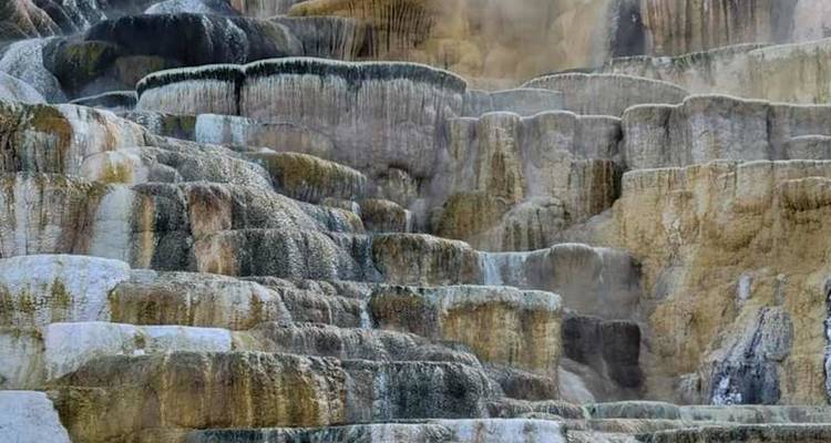 Les terrasses détaillées des sources thermales de Mammoth présentent des formations minérales uniques.