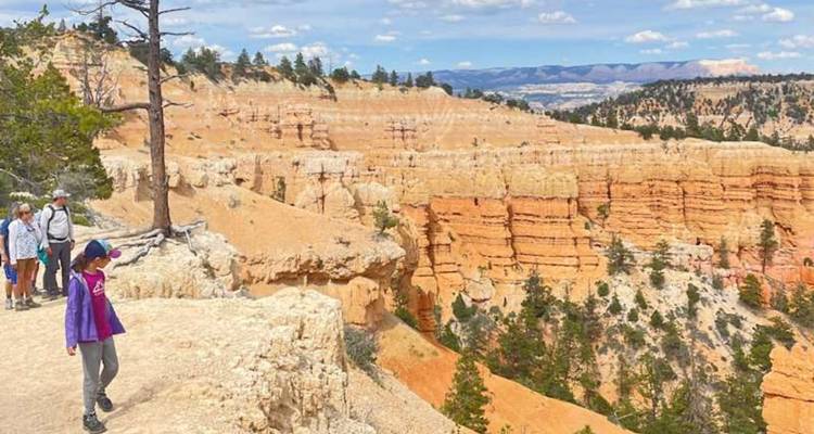 Les visiteurs explorent le bord d'un amphithéâtre de canyon orange pastel parsemé de pins.