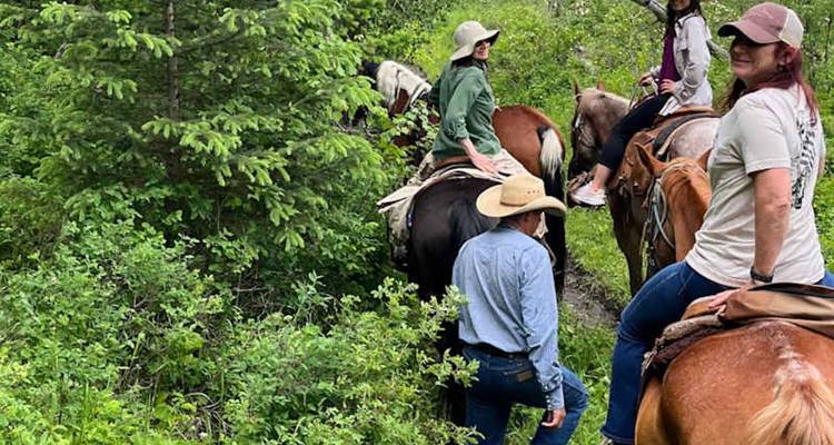 Los jinetes navegan a caballo por un estrecho sendero verde del bosque.