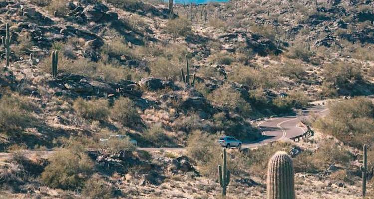 Une route sinueuse du désert serpente à travers un paysage rocheux parsemé de majestueux cactus saguaro.