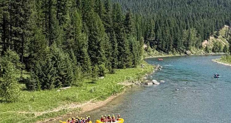 Varios botes amarillos flotan río abajo en un río de montaña rodeado de bosque en un día soleado.