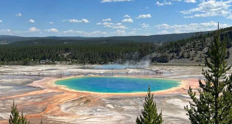 Les anneaux d'un turquoise éclatant et d'une teinte orangée du Grand Prismatic Spring, entourés de forêt et de passerelles sous un ciel bleu dégagé.