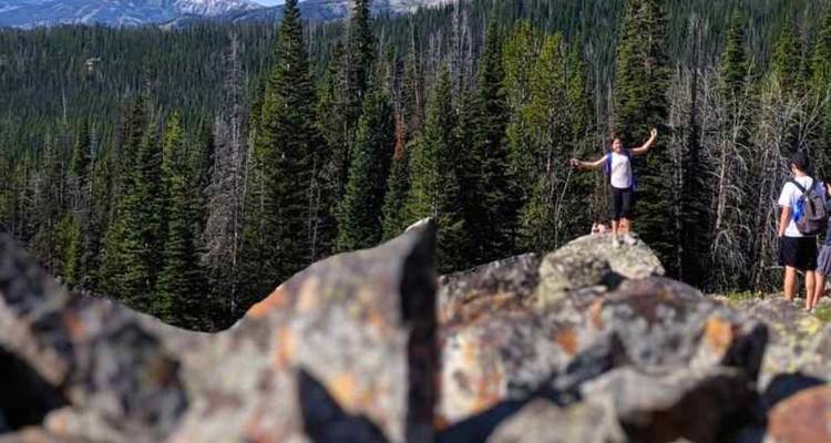 Deux randonneurs célèbrent sur des rochers avec une dense forêt de pins et des montagnes lointaines au-delà.