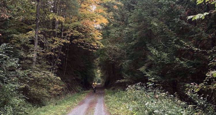 Un cycliste solitaire descend un sentier forestier étroit bordé d'arbres verts dense.