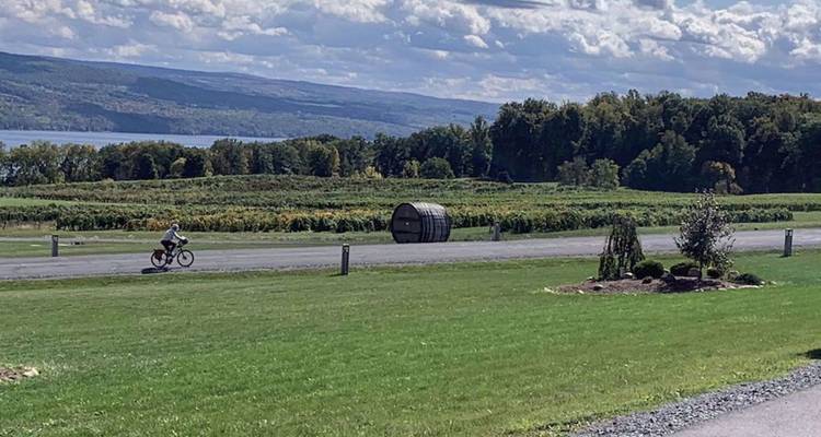 Un cycliste solitaire passe devant des vignobles et des paysages ouverts avec un lac et des collines ondulantes à distance.