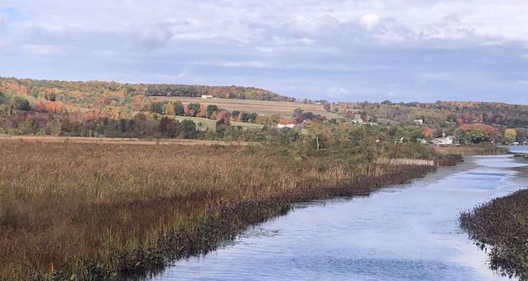 Des méandres fluviaux marécageux traversent des terres agricoles aux couleurs automnales sous un ciel majoritairement nuageux