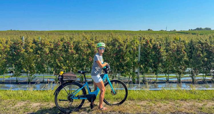Een vrouw op een blauwe e-bike staat stil naast rijen appelbomen die zwaar beladen zijn met fruit onder een heldere hemel.