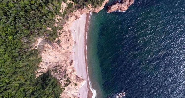 Vue aérienne d'une plage en croissant isolée bordée par une forêt et des eaux émeraude.