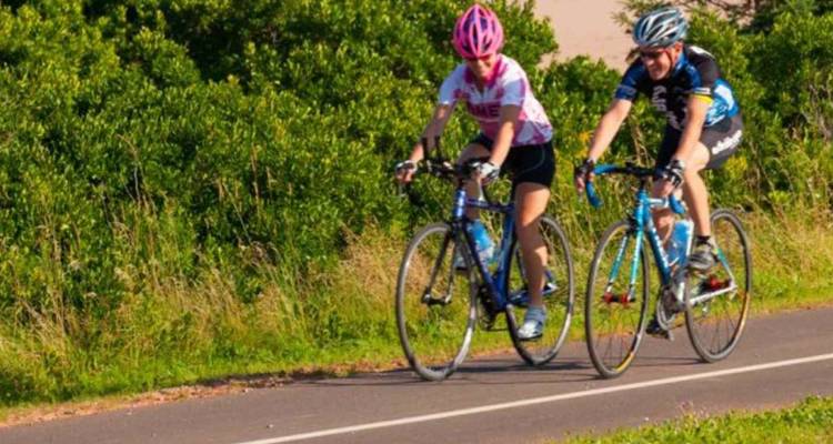 Deux cyclistes roulent sur un sentier pavé aux côtés de buissons verts dense sous un après-midi ensoleillé.