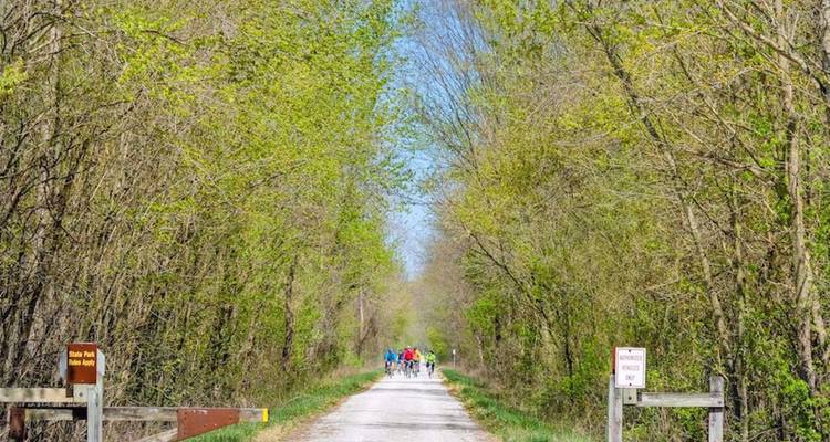 Lange rechte gravel trail door het heldere lentebos met tiny wielrenners in de verte