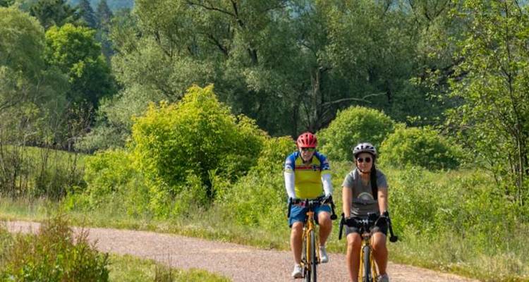 Twee fietsers fietsen over een zonnig gravelpad omgeven door bladrijke bomen.
