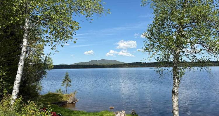 Lac bleu tranquille encadré par des bouleaux avec une montagne basse lointaine sous un ciel dégagé.