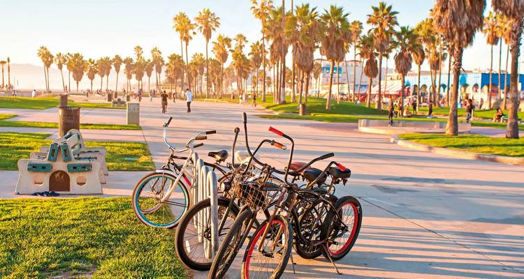 Reihe von Fahrrädern, die neben der palmengesäumten Strandpromenade von Venice Beach bei Sonnenuntergang geparkt sind