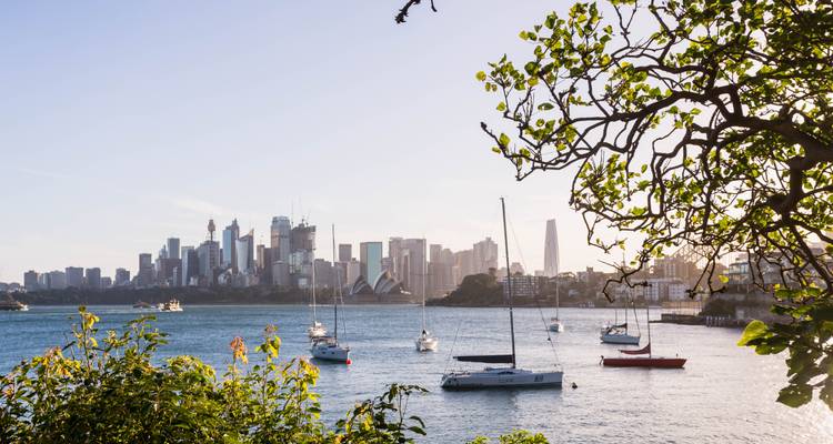Vergnügungsboote im blauen Hafen verankert, umrahmt von belaubten Ästen mit der Skyline von Sydney in der Ferne