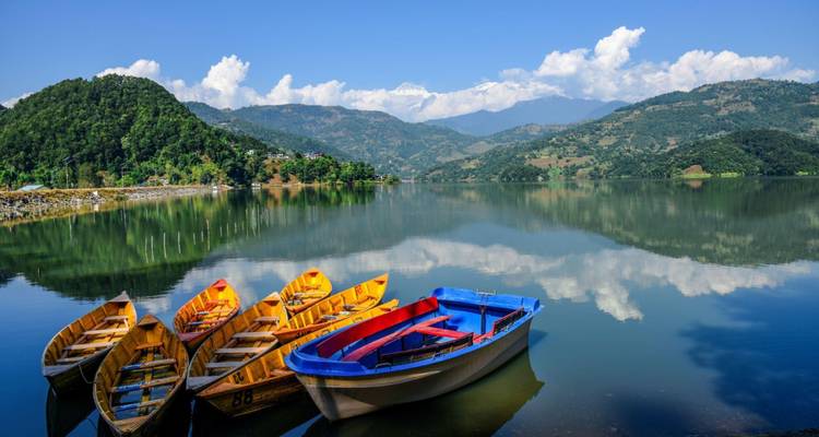 Coloridas barcas de madera amarradas en el tranquilo lago Phewa con colinas verdes y las montañas del Himalaya de fondo.