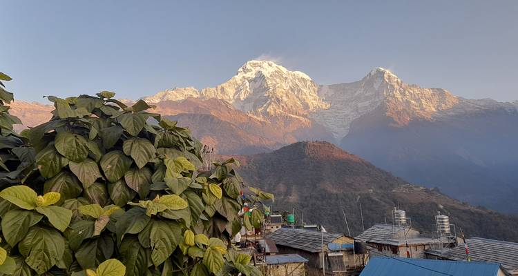 Les toits des villages himalayens avec les sommets enneigés imposants qui brillent à la lumière de l'aube.