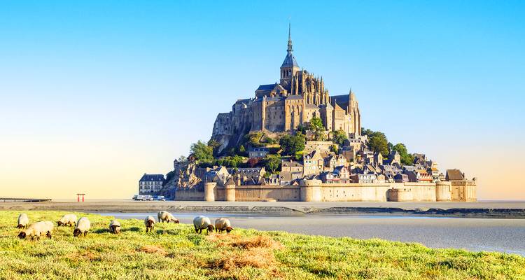 Le Mont-Saint-Michel emblématique se dresse au-dessus des vasières à l'aube tandis que des moutons paissent au premier plan.