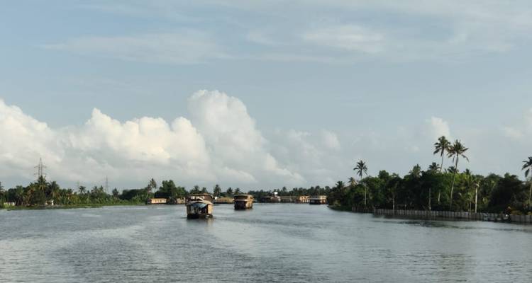 Szene der Backwaters von Kerala mit Hausbooten, die entlang eines breiten Flusses fahren, der von Palmen unter blauem Himmel gesäumt ist.