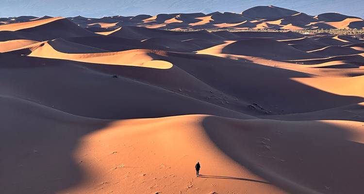Une personne seule écrasée par les courbes majestueuses des dunes désertiques infinies baignées dans une lumière chaleureuse.