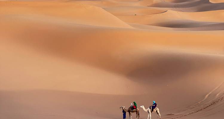 Deux cavaliers conduisant des chameaux à travers les vastes dunes orange du Sahara.