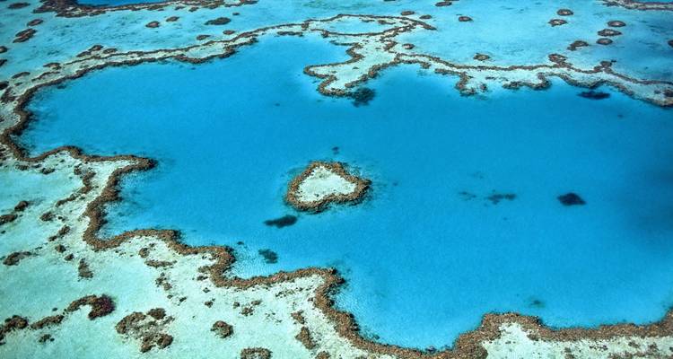 Vue aérienne des formations de corail turquoise créant la célèbre barrière de corail en forme de cœur dans une mer bleue cristalline.