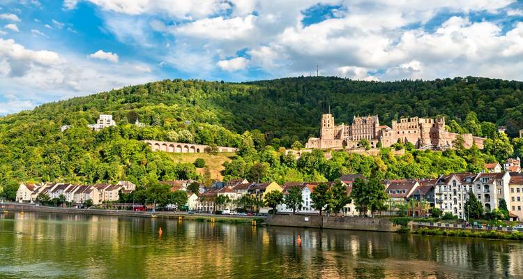 El impresionante Castillo de Heidelberg encaramado en una ladera verde que domina la ciudad junto al río.