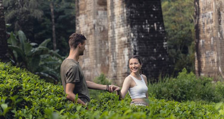 Pareja joven caminando de la mano entre frondosos arbustos de té cerca de imponentes arcos de piedra en la región montañosa de Sri Lanka.