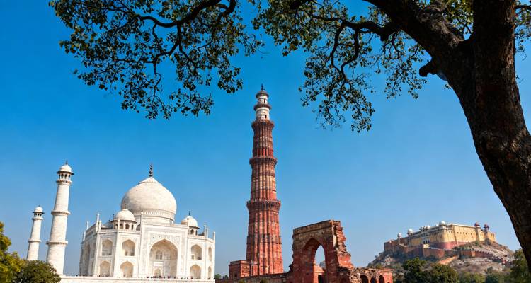 Eine kreative Montage zeigt das Taj Mahal, das Qutub Minar und das Amer Fort, die von einem Baumast vor einem klaren blauen Himmel eingerahmt werden.