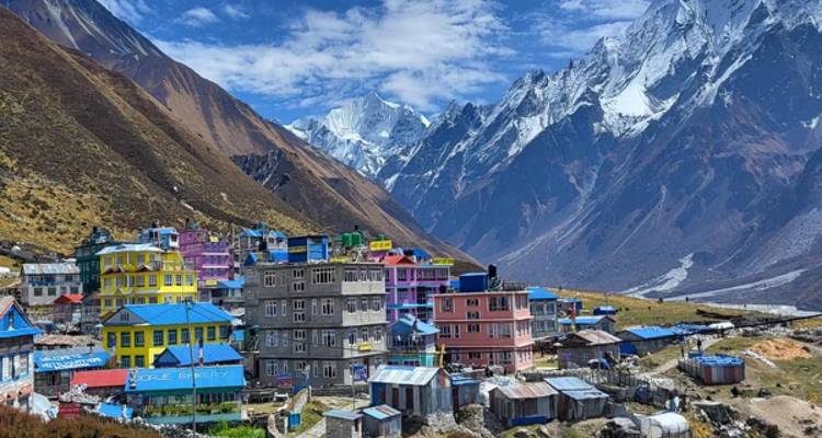 El colorido pueblo de Langtang con sus albergues de varios pisos se encuentra en un profundo valle bajo montañas nevadas dentadas y un cielo radiante.
