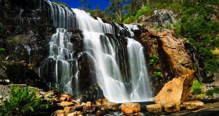 La cascade soyeuse des chutes Mackenzie se précipite sur des rebords rocheux sombres entourés par la forêt d'eucalyptus.