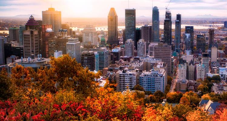 Herfstkleuren omlijsten de skyline van Montreal bij zonsondergang met goudgeel licht over wolkenkrabbers en rivier.