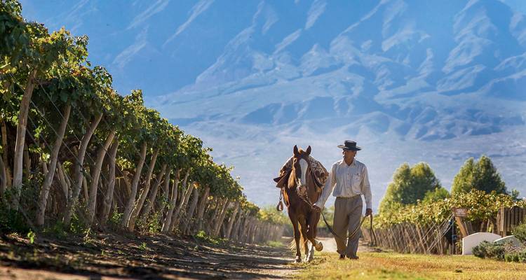 Argentina y Bolivia: Salar y desierto - Say Hueque Argentina & Chile Journeys 3
