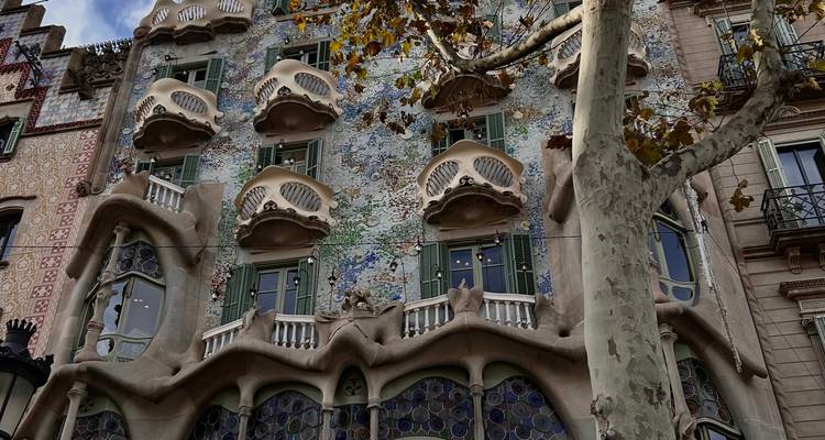 Vue rapprochée des balcons ondulants en forme d'os de la Casa Batlló et de sa façade en mosaïque scintillante derrière un tronc d'arbre.