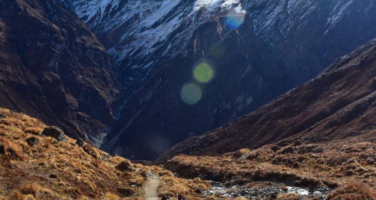 Bergpad dat zich slingerend door droge grasvelden naar steile sneeuwbedekte Annapurna-rotsen beweegt.