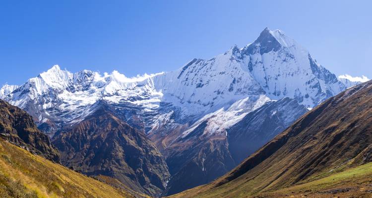 Een schitterend uitzicht op met sneeuw bedekte Himalayagebergten die hoog uitsteken boven steile graszodes onder een kristalhelder lucht.