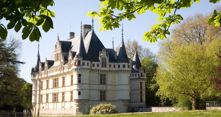 Castillo ribereño elegante con tejados de pizarra empinados enmarcados por follaje fresco de primavera y hojas iluminadas por el sol arriba.