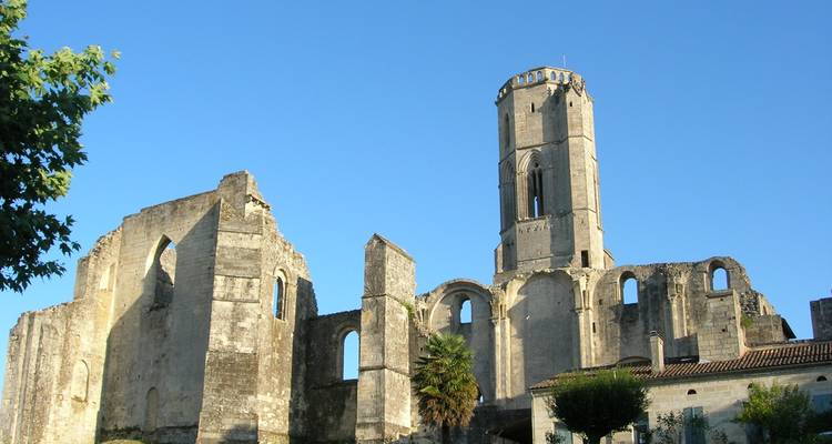 Verwoeste stenen abdij met hoge toren en gewelfde muren tegen een heldere blauwe hemel.