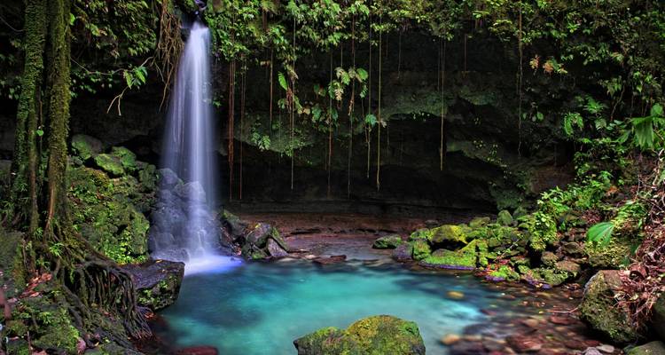 Betoverende junglepool met turquoise water en een delicate waterval omgeven door hangende lianen en mosbegroeid rotsen.