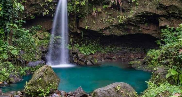 Een delicate waterval stort neer in een kristalhelder turkooizen zwembad omgeven door weelderig regenwoudgebladerte.