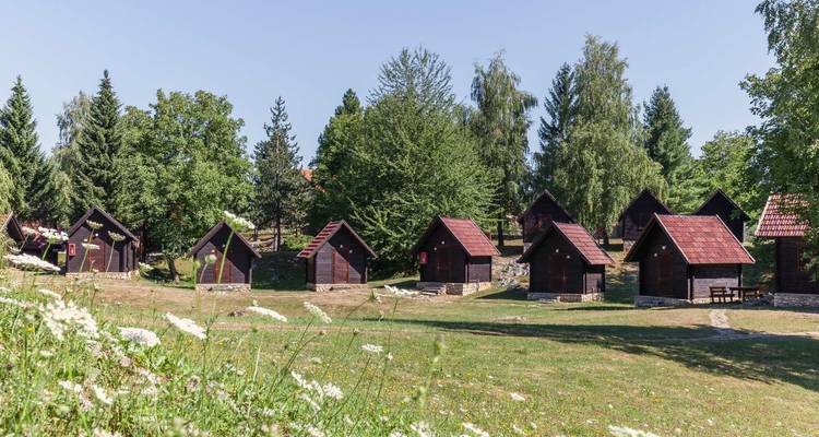 Reihe kleiner Holzhütten mit roten Dächern, verstreut über einen grasbewachsenen Campingplatz, umgeben von Bäumen
