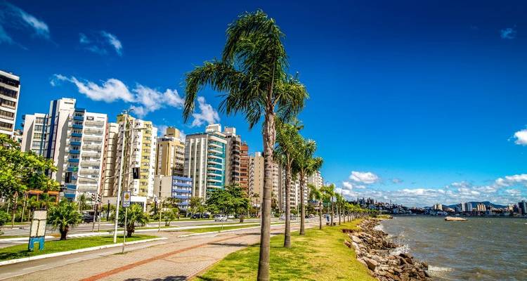 Paseo frente al mar bordeado de palmeras con edificios modernos de gran altura y cielo azul en Florianópolis