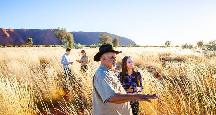 Aboriginale gids die het landschap aan toeristen uitlegt in hoge gouden grassen met Uluru zichtbaar in de verte