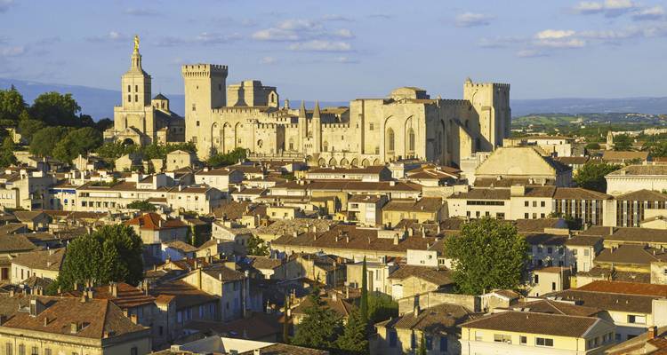 Panoramisch uitzicht op Avignon met Palais des Papes dat de middeleeuwse skyline domineert