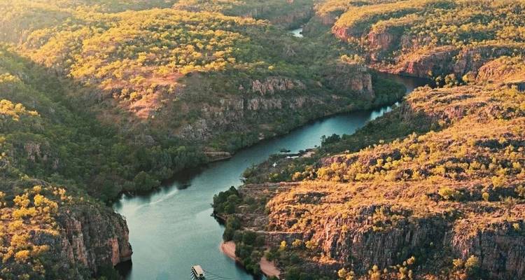 Luz dorada sobre un río sinuoso a través de paredes de cañones imponentes y mesetas boscosas