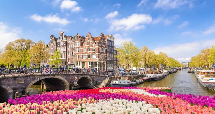 Amsterdamer Kanalbrücke mit Fahrrädern und Tulpenteppichen neben historischen Häusern