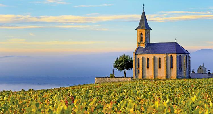 Pequeña capilla en la cima de una colina con vista a viñedos brumosos bañados por la suave luz del amanecer en la campiña de Beaujolais.