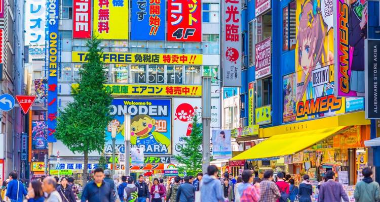 Belebte Akihabara-Straße, gesäumt von farbenfrohen Neonplakaten und dichten Menschenmassen von Einkäufern.