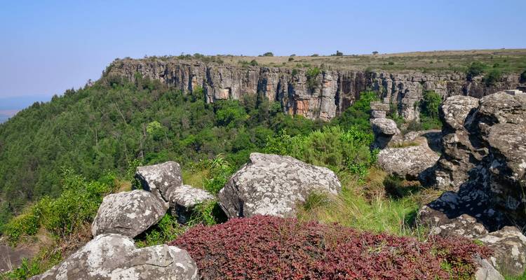 Escarpement rocheux avec des versants boisés et un premier plan jonché de rochers sous un ciel bleu dégagé en Afrique du Sud.
