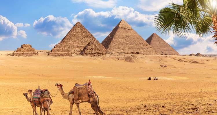 Caravana de camellos y turistas a lo lejos frente a las tres icónicas pirámides en la meseta de Giza.